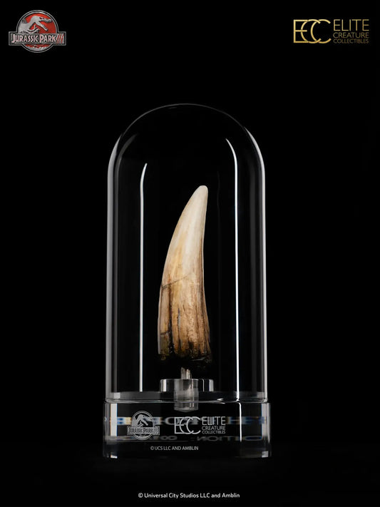JURASSIC PARK III SPINOSAURUS TOOTH PROP REPRODUCTION