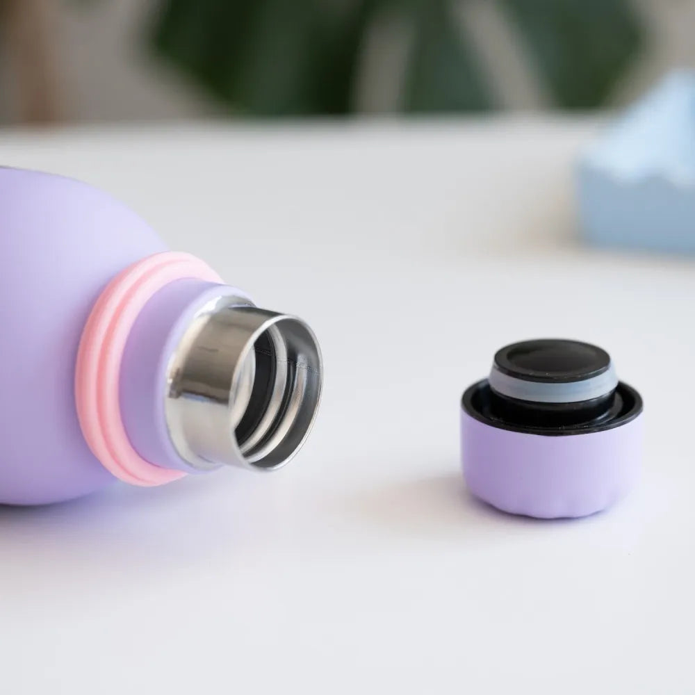 PUSHEEN MOMENTS TERMIC METAL BOTTLE