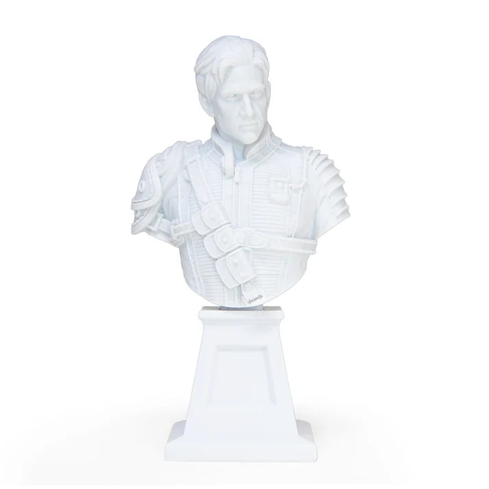FALLOUT PAINTER BUST NATE