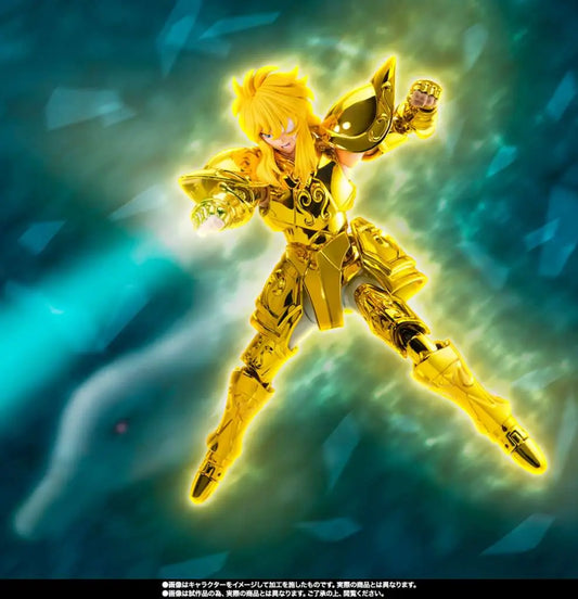 SAINT CLOTH MYTH EX AQUARIUS HYOGA INHERITOR OF THE GOLD CLOTH