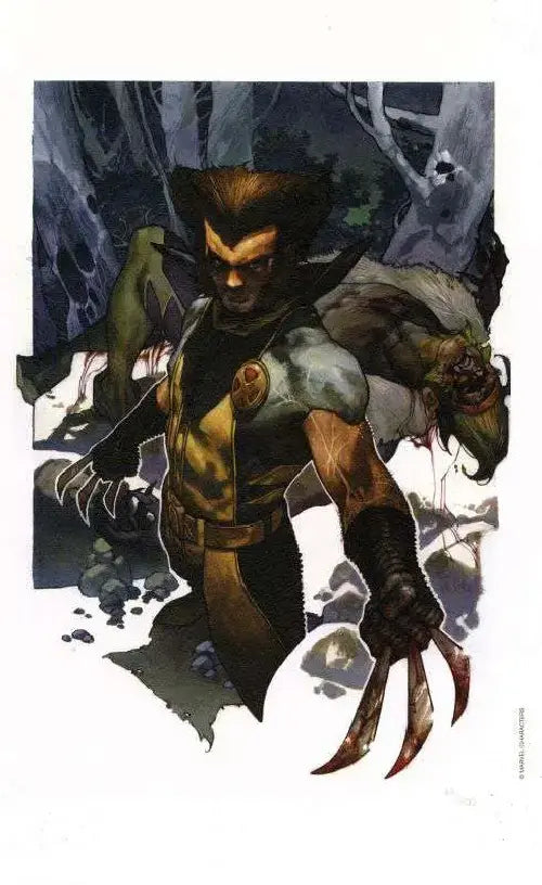 Simone Bianchi - Wolverine & Sabretooth - Limited Edition Lytho