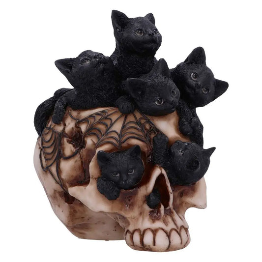 SKULL CRANIAL LITTER