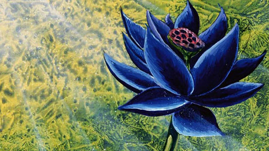 Black Lotus: La Collezione di Carte da Gioco più Preziosa al Mondo
