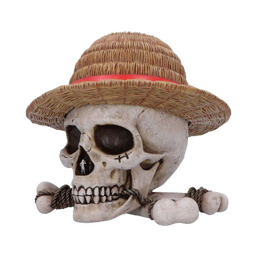 ONE PIECE LUFFY JOLLY ROGER BOX