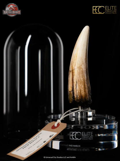 JURASSIC PARK III  SPINOSAURUS TOOTH PROP REPRODUCTION