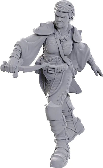 D&D NOLZUR'S MARVELOUS MINIATURES - SWASHBUCKLER