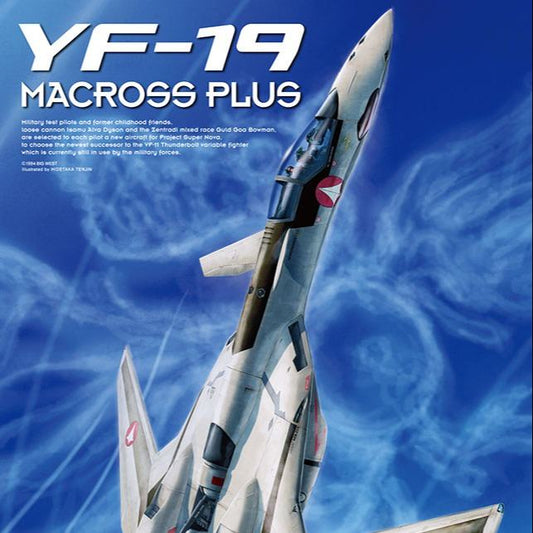 MACROSS PLUS YF-19 1/72 MK