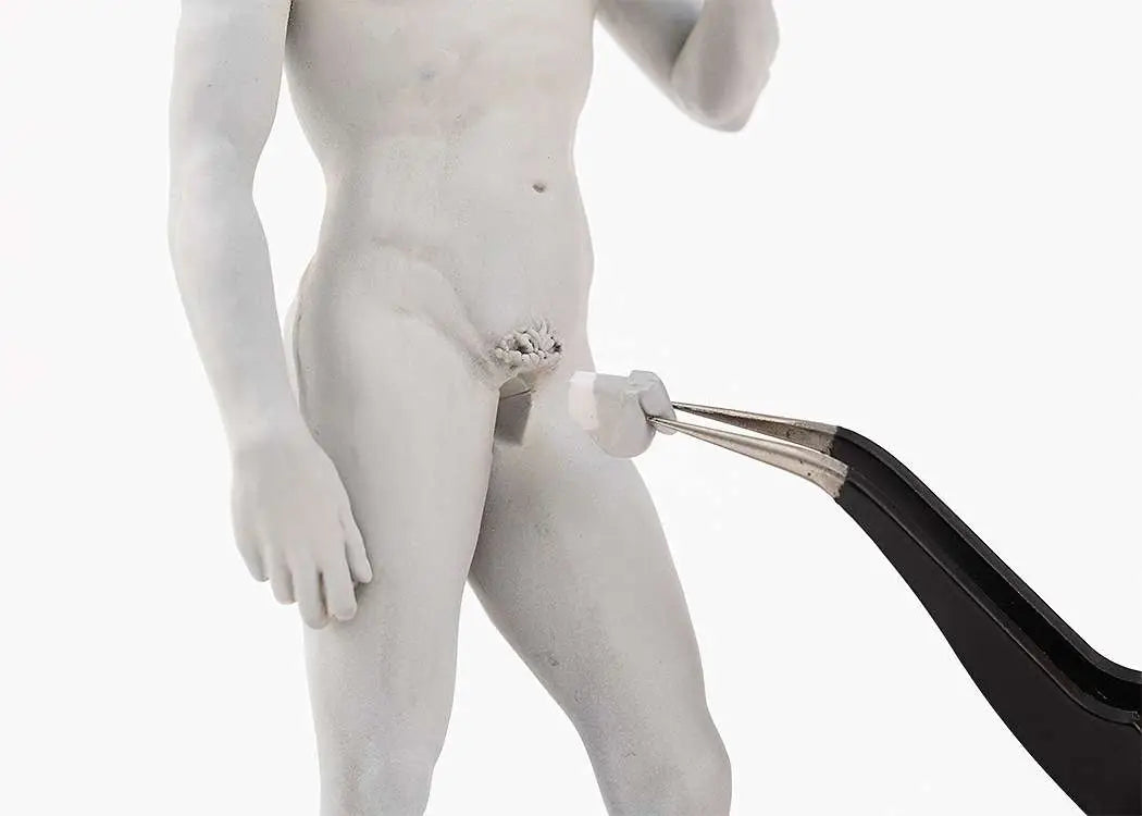 MICHELANGELO DAVID PLASTIC MODEL KIT