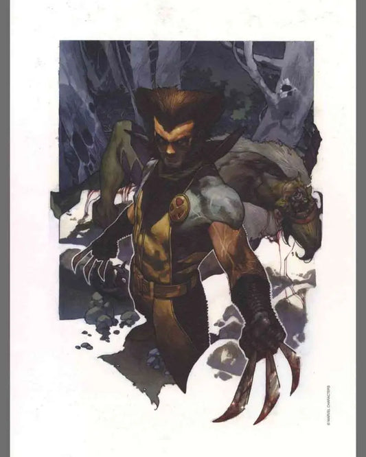 Simone Bianchi - Wolverine &amp; Sabretooth - Limited Edition Lytho