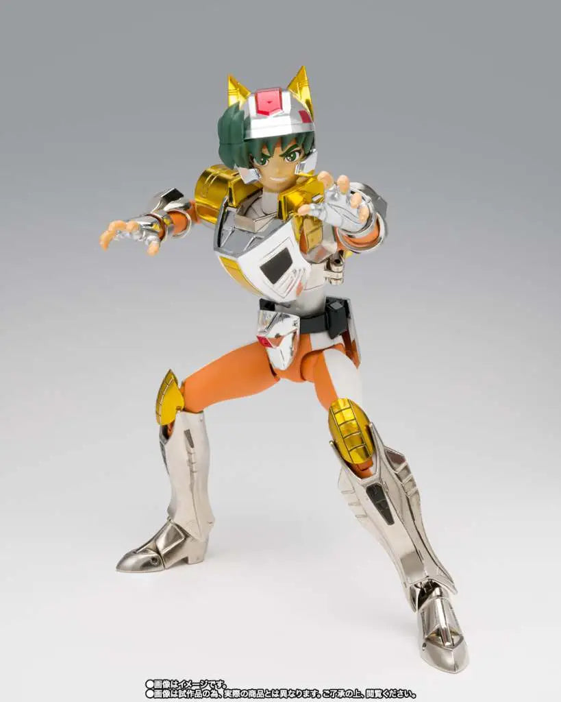 STEEL SAINT LANDCLOTH DAICHI REVIVAL
