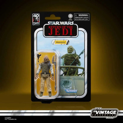 SW VINTAGE ROTJ WEEQUAY AF