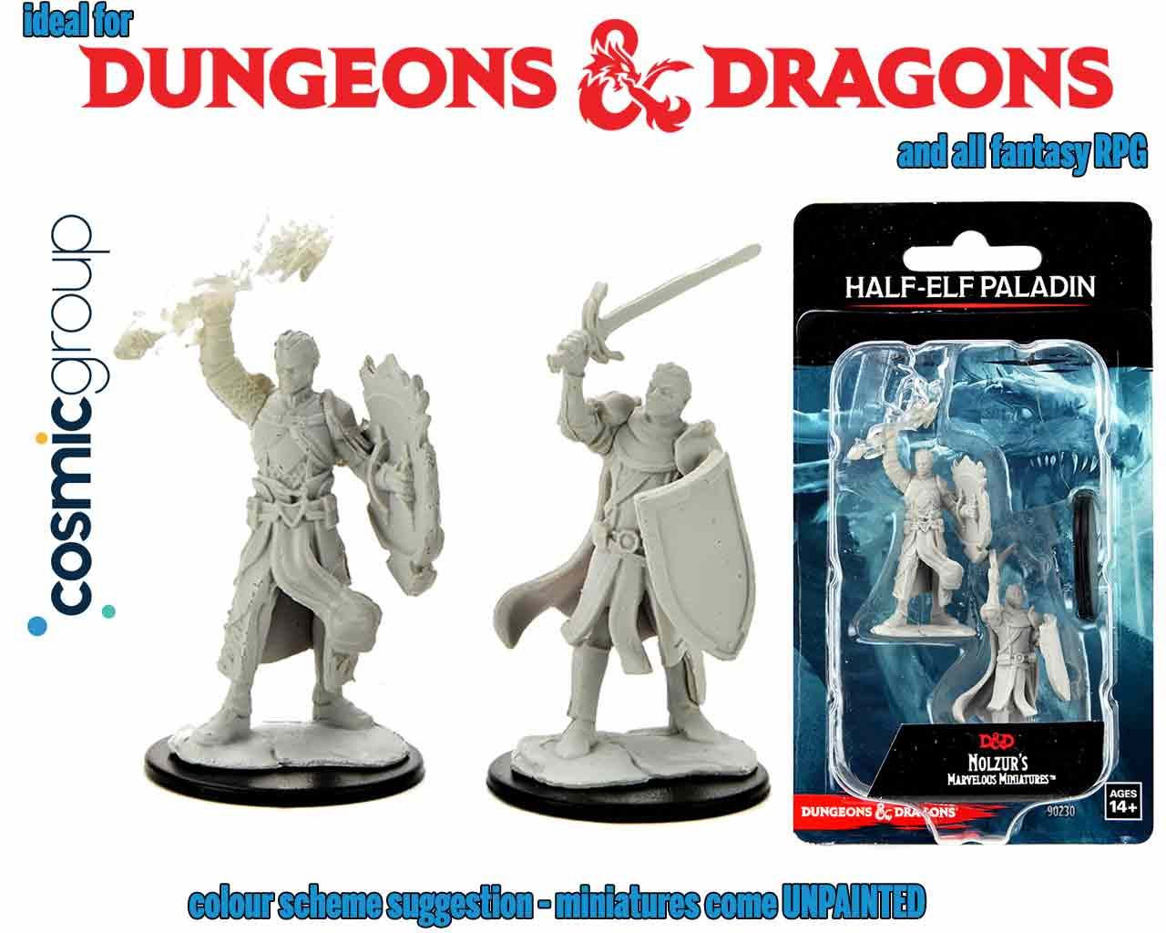 D&D NOLZUR'S MARVELOUS MINIATURES - HALF-ELF MALE PALADIN