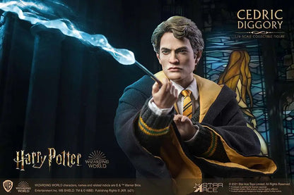 HP CEDRIC DIGGORY DELUXE 1/6 AF