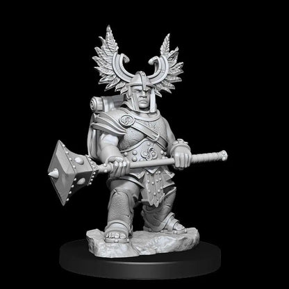 D&D FRAMEWORKS-DWARF BARBARIAN FEMALE