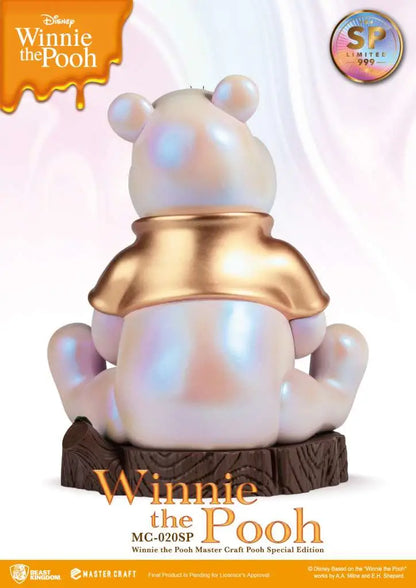 WINNIE THE POOH  SPECIAL ED.MASTER CRAFT