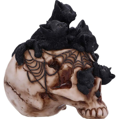 SKULL CRANIAL LITTER