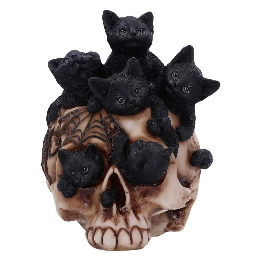 SKULL CRANIAL LITTER