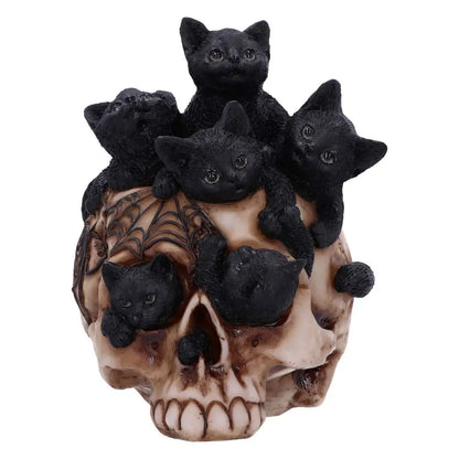 SKULL CRANIAL LITTER