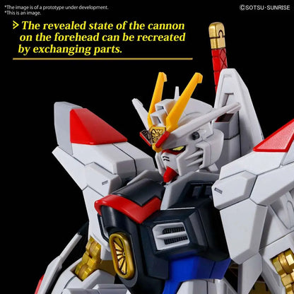HG GUNDAM MIGHTY STRIKE FREEDOM 1/144