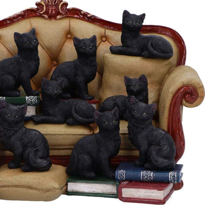 COUCH CLOWDER WITH 48 DISPLAY CATS